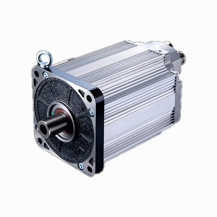 Hochleistungs-Elektromotor-Con – Ev Electric Motor Conversion Kit Car Bewertung und Preis